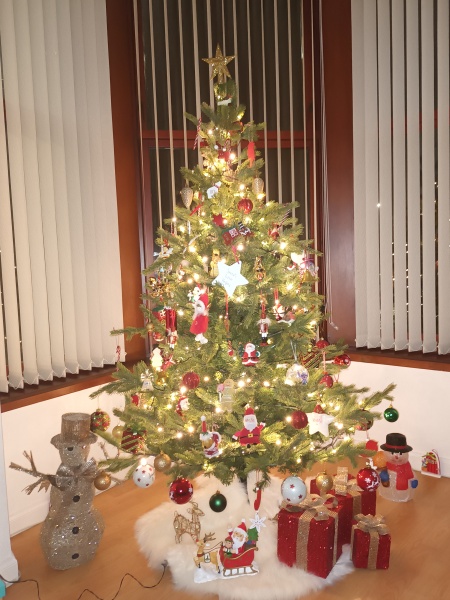 Can I see your Christmas tree?