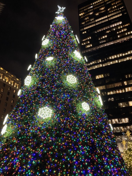 Come and tell me your dull and unexciting news 27: Calmly through the day