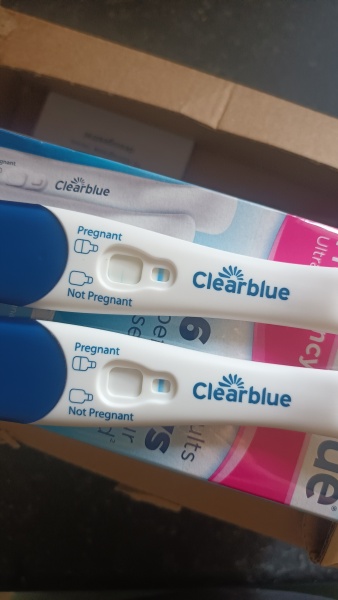 Clear blue test. Evap line or positive