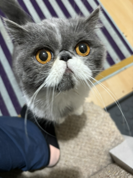 Potential new inmate at Toddler Towers.