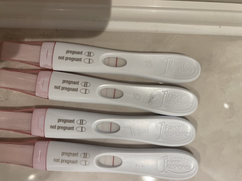 Frer not progressing