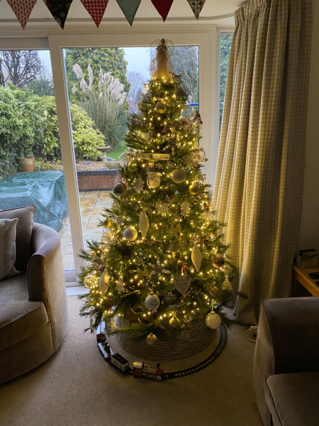 The ultimate SHOW US YOUR TREE megathread!