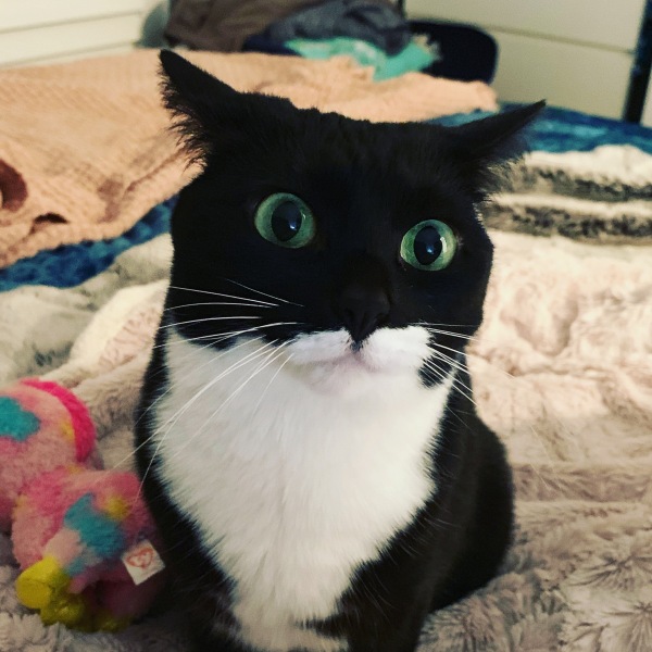 The Great Recovery! After cancer what next?