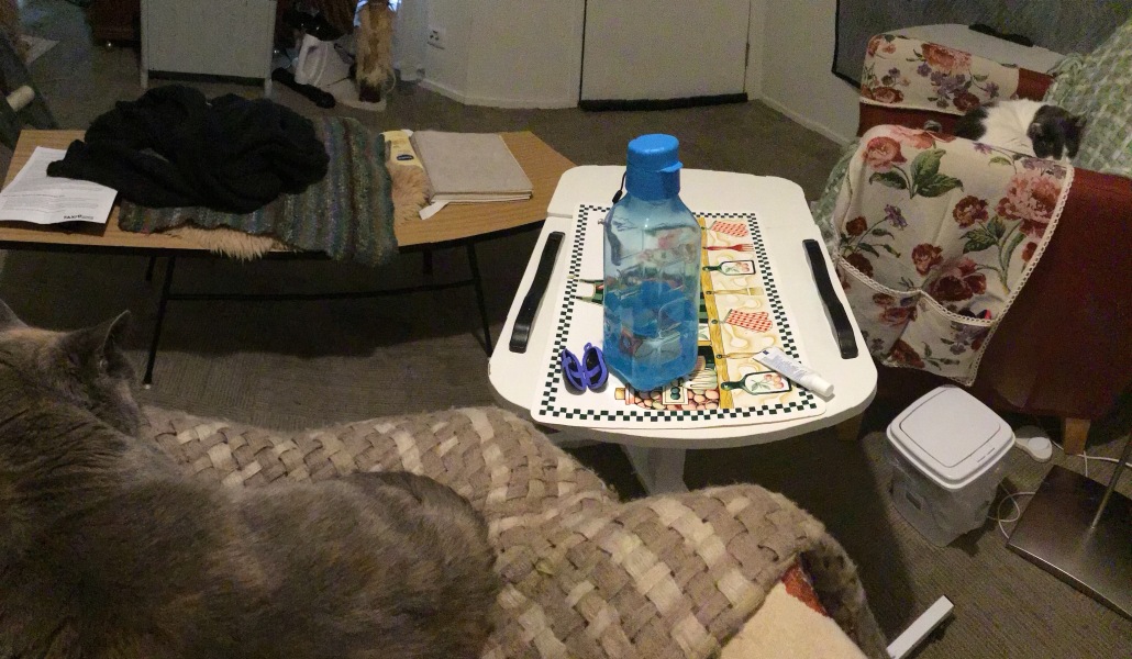Christmas with the Excellent Cats
