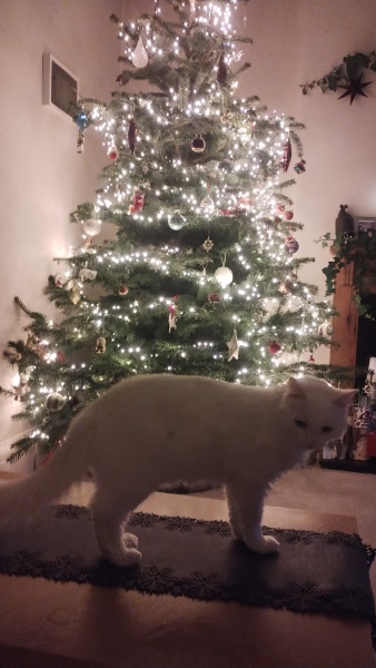 Stage IV cancer? Incurable? Roll up, roll up, this thread is for you!