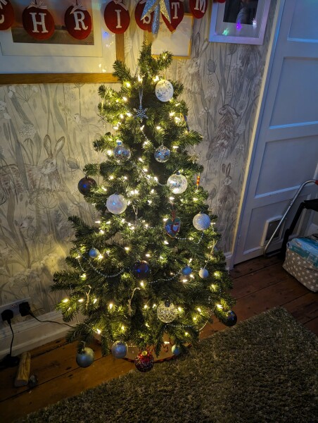 Have you put your tree up yet?
