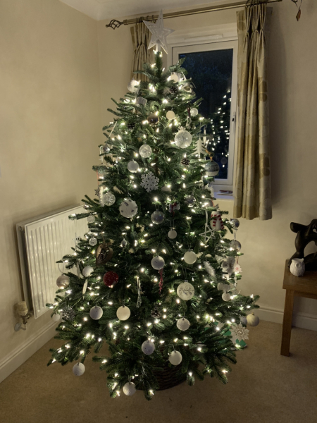 Can I see your Christmas tree?