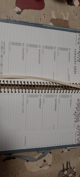 Thread 16 - the one with two turtle fingerless gloves