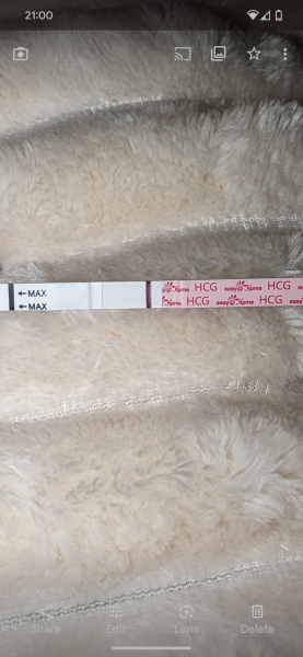 Pregnancy test