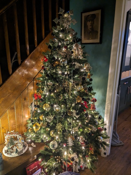 Have you put your tree up yet?