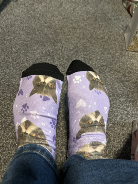 Potential new inmate at Toddler Towers.