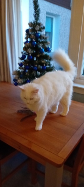 Autistic Women Assemble! #2