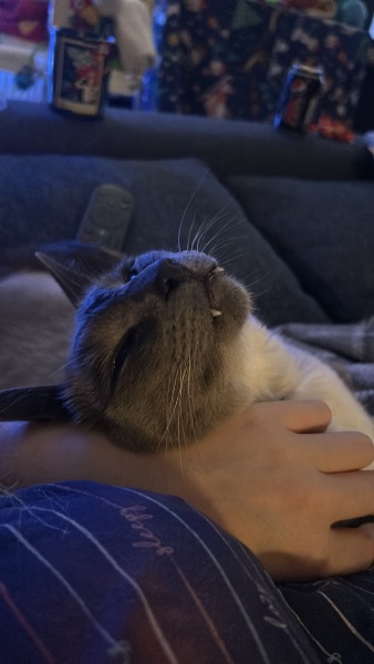 Let's see your best "Loaf of Doom" pics!