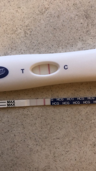 Letrozole first cycle