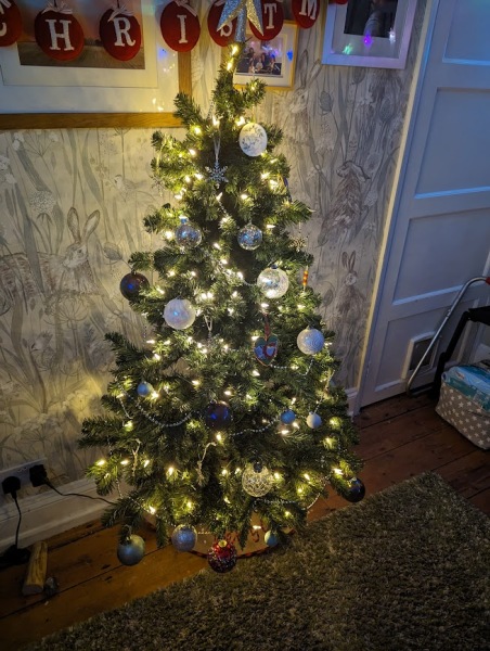 Can I see your Christmas tree?