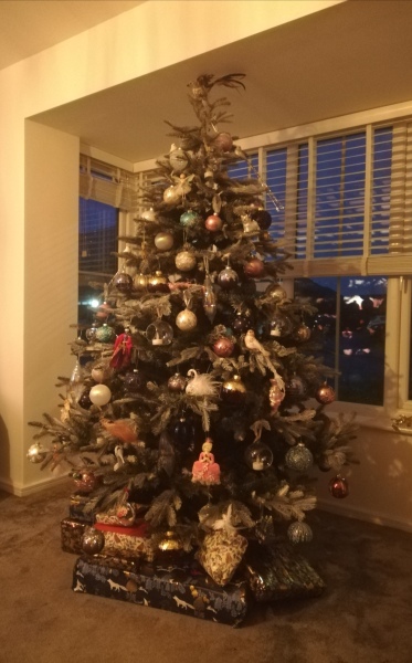 Can I see your Christmas tree?