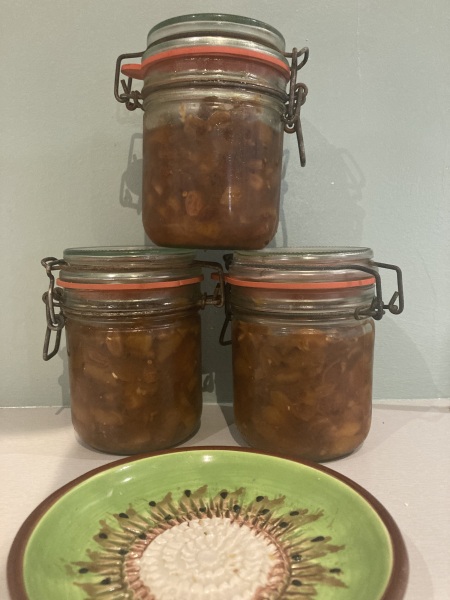 Nigel Slater Christmas Chronicles Read Along 2023 - Part Two