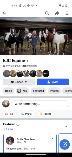 Confidence Lost while horse shopping