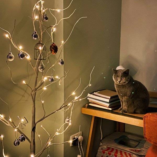 Thread 11 - TalkLair: “The candle flame gutters. Its little pool of light trembles.”