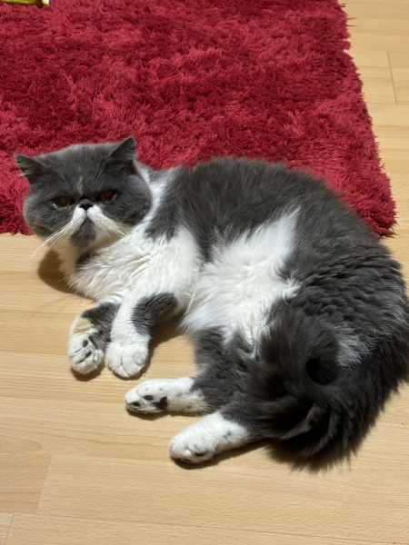 Potential new inmate at Toddler Towers.