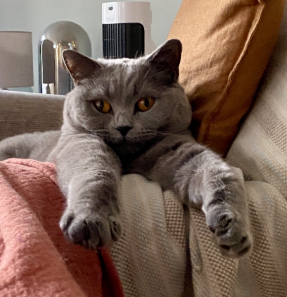 Single people who live alone like me - what are you doing tomorrow?
