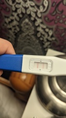 Does this look right for 16dpo?