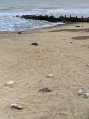 Come and tell me your dull and unexciting news 28: Calmly through the day