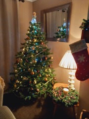 Can I see your Christmas tree?