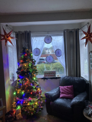Can I see your Christmas tree?