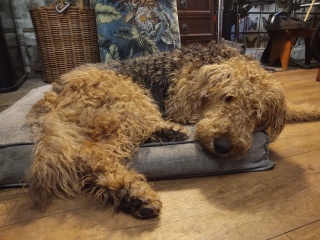 Cancer Support Thread 92 - Christmas Happy Hour at the Patience Inn 7pm tonight 🎄