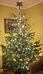 The ultimate SHOW US YOUR TREE megathread!