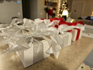 Festive Flying with the Fledglings