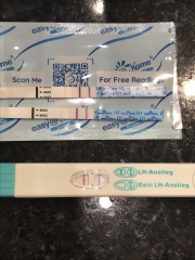 Peak opk after rise in BBT - any ideas??