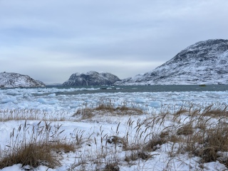 I REALLY want to go to Antarctica. Has anyone here been?