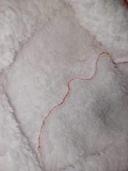 Fake Oodie website ?