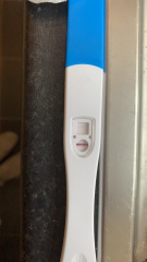 What is this?