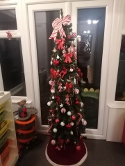 Can I see your Christmas tree?