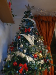 Can I see your Christmas tree?