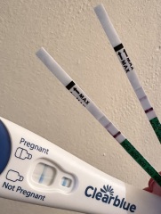 4 weeks pregnant CONSTANT cramps