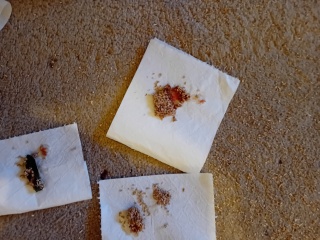 Weird jelly/liquid red stuff