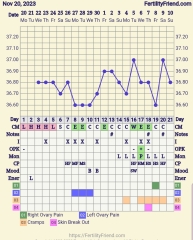 I can't figure out, have I ovulated? when?