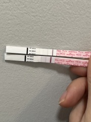 Pregnant-help!