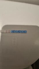 Early pregnancy test