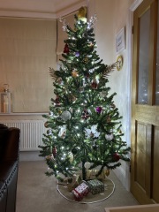 Can I see your Christmas tree?