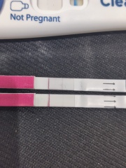 Clear blue test. Evap line or positive