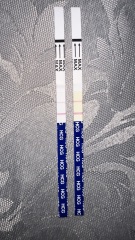 *Sensitive photos attached* 14DPO bleeding & positives tests