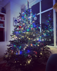 Can I see your Christmas tree?