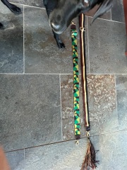 Les Parisiennes des Mamanset: On the Advent of Newness