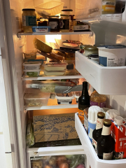 Christmas Fridges