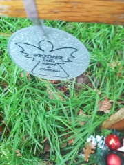 Today would have been ds1s 29th birthday...